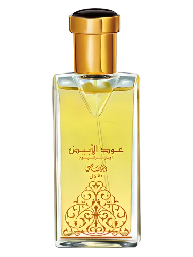 عود ابيض / الرصاصي